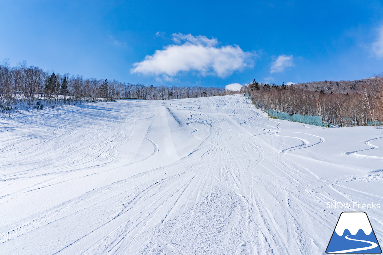 十勝サホロリゾート｜道東の粉雪はレベルが違う☆抵抗感皆無のさらさらパウダースノーへ滑り込め！(*^^*)